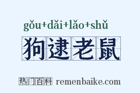 狗逮老鼠是什么意思的图片